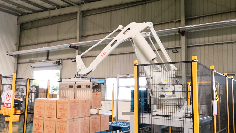 精廣云南客戶現場實拍(裝箱+封箱+機器人碼垛)