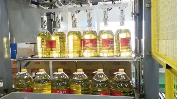 精廣為客戶定制的自動裝箱機工作現(xiàn)場實拍