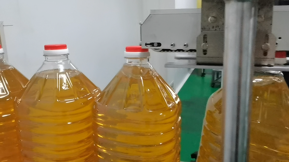 自動壓蓋機 自動壓蓋機